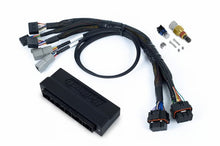 Load image into Gallery viewer, Haltech NEXUS S2/S3 Plug-n-Play Adapter Harness