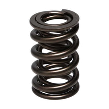 Load image into Gallery viewer, Manley Valve Spring, SPRING-1.610 DOUBLE