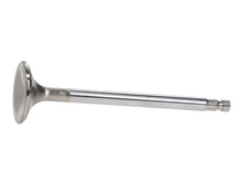 Load image into Gallery viewer, Manley Nissan 3.0L RB30E Exhaust Valve Kit - 36.10mm Head Dia. 124.59mm O/A Length, 0.3136in Stem