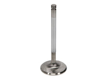 Load image into Gallery viewer, Manley Toyota 5.7L 3UR-FE intake Valve Kit - 38.50mm Head Dia. 106.05mm O/A Length, 0.2155in Stem