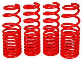 BLOX Racing Lowering Springs 96-00 Honda Civic