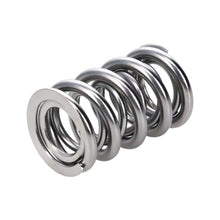 Load image into Gallery viewer, Manley Valve Spring, SPRING-1424 POLISHED