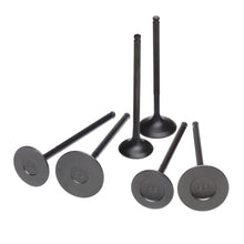Load image into Gallery viewer, Skunk2 Pro Series Honda/Acura Stock Size B Series DOHC VTEC Intake Valve (Standard Compression)