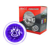 Oracle Pre-Installed Lights 7 IN. Sealed Beam - UV/Purple Halo
