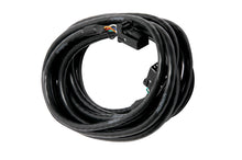 Load image into Gallery viewer, Haltech CAN Cable 8 Pin Black Tyco to 8 Pin Black Tyco 3600mm (144in)