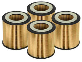 aFe Pro GUARD D2 Oil Filter 06-19 BMW Gas Cars L6-3.0T N54/55 - 4 Pack - GTR Auto