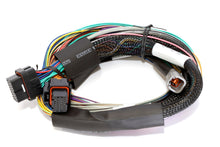Load image into Gallery viewer, Haltech Elite 1000 8ft Basic Universal Wire-In Harness (Excl Relays or Fuses)