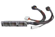 Load image into Gallery viewer, Haltech Toyota Supra JZA80 2JZ (Non VVTi w/M/T Only) Elite 2000/2500 Plug-n-Play Adaptor Harness