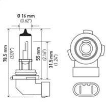 Load image into Gallery viewer, Hella Bulb H10/9145 12V 45W Py20D T4