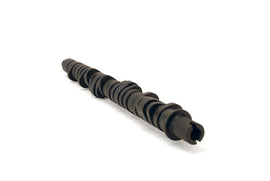 Skunk2 Tuner Series D-Series Honda Stage 4 Camshaft - GTR Auto