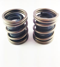 Load image into Gallery viewer, DDP 94-98 Dodge Cummins 5.9L 12V P-7100 Competition Governor Spring Set