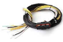 Load image into Gallery viewer, Haltech HPI8 High Power Igniter 2m Flying Lead (Loom Only)