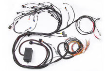 Load image into Gallery viewer, Haltech Nissan RB Elite 2000/2500 Terminated Engine Harness w/EV1 Injector Connectors