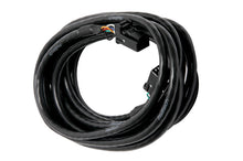 Load image into Gallery viewer, Haltech CAN Cable 8 Pin Black Tyco to 8 Pin Black Tyco 1800mm (72in)