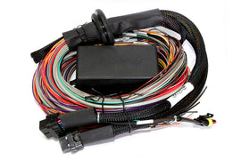 Haltech Elite 2500/2500 T Premium Universal Wire-In Harness - 2.5m (8ft)