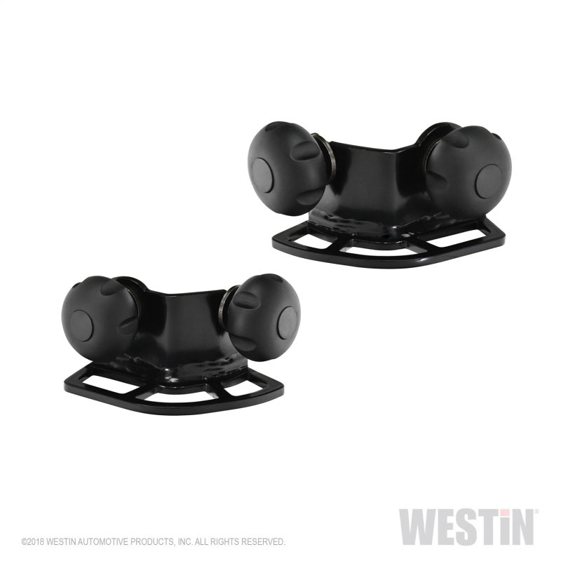 Westin Multi-Point HLR Adjustable Tie Down