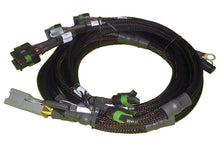 Load image into Gallery viewer, Haltech V8 BB/SB GM/Chrysler Hemi V8 8 Channel Individual High Output IGN-1A Inductive Coil Harness