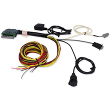 Load image into Gallery viewer, AEM AQ-1 OBD2 96in Flying Lead Wiring Harness