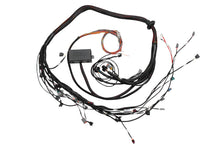 Load image into Gallery viewer, Haltech Toyota 2JZ Elite 2000/2500 Terminated Harness w/EV1 Injector Connectors