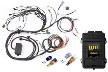 Load image into Gallery viewer, Haltech Elite 2500 Terminated Engine Harness ECU Kit