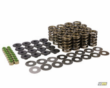 Load image into Gallery viewer, mountune Ford 2.0L EcoBoost Camshaft &amp; Valve Spring Kit - V3