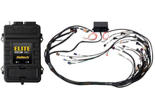 Load image into Gallery viewer, Haltech Elite 2500 Terminated Harness ECU Kit w/ EV1 Injector