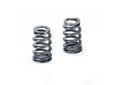 Supertech BMW S65/S84 Beehive Valve Spring - Set of 24 (Use w/Factory Retainer & Base)