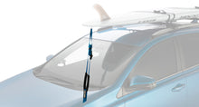 Load image into Gallery viewer, Rhino-Rack Paddle Board Nose/Tail Tie Down Strap