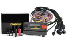 Load image into Gallery viewer, Haltech NEXUS R5 Universal Wire-In Harness Kit - 2.5M (8ft)
