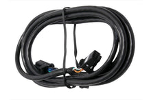 Load image into Gallery viewer, Haltech CAN Cable 8 Pin Black Tyco to 8 Pin Black Tyco 75mm (3in)