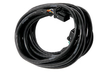 Load image into Gallery viewer, Haltech CAN Cable 8 Pin Black Tyco to 8 Pin Black Tyco 300mm (12in)