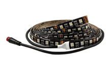 Load image into Gallery viewer, Diode Dynamics RGBW 200cm Strip SMD120 M8