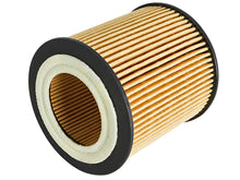 Load image into Gallery viewer, aFe Pro GUARD D2 Oil Filter 06-19 BMW Gas Cars L6-3.0T N54/55 - 4 Pack - GTR Auto