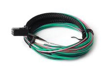 Load image into Gallery viewer, Haltech 3ft TCA2 Dual Channel Thermocouple Amplifier Flying Lead Harness