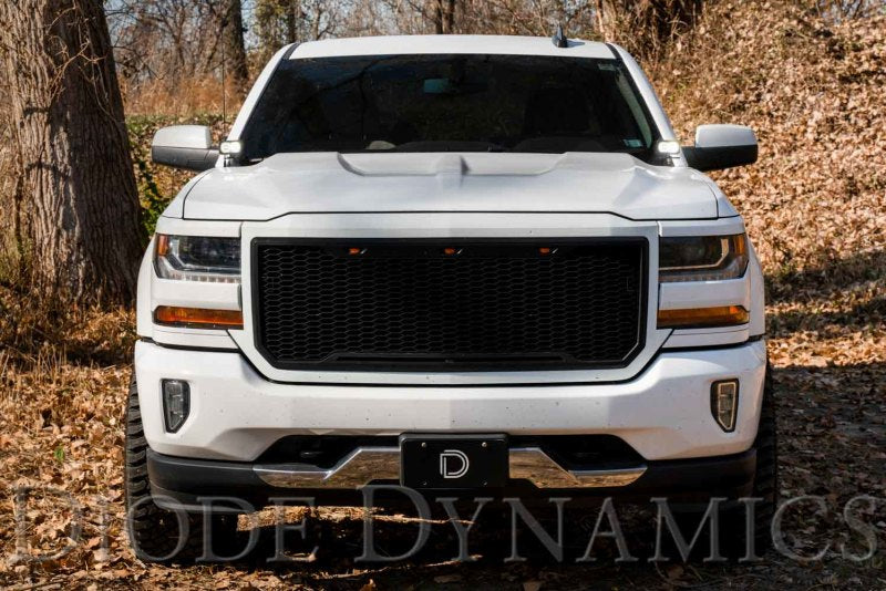 Diode Dynamics 14-19 Silverado/Sierra SS3 LED Ditch Light Kit - Pro White Combo