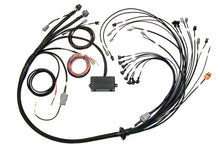 Load image into Gallery viewer, Haltech V8 Big/Small Block GM/Ford/Chrysler Elite 2000/2500 Terminated Harness w/EV1 Inj Connectors