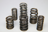 Ferrea 1.600in to 1.650in 1.160/1.610 OD 0.835/1.160 ID Dual Valve Spring - Set of 16
