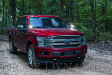 Load image into Gallery viewer, Diode Dynamics 15-20 Ford F-150/Raptor Pro SS3 LED Ditch Light Kit - White Combo