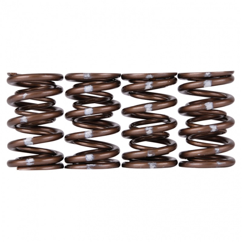 Skunk2 Pro Series Honda/Acura B-Series VTEC XP Valve Spring Set (Dual Springs)