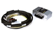 Load image into Gallery viewer, Haltech HPI8 High Power Igniter 8 Channel 2m Flying Lead Kit