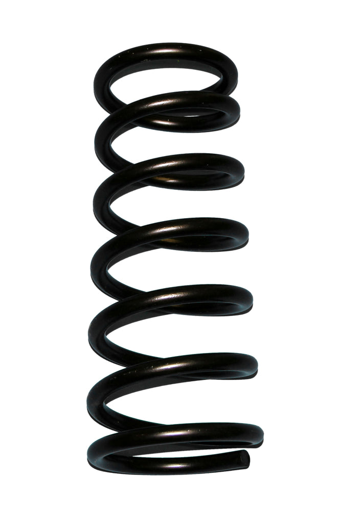 Skyjacker Coil Spring Set 1994-2001 Dodge Ram 1500 4 Wheel Drive