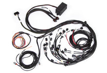 Load image into Gallery viewer, Haltech Ford Falcon BA/BF Barra 4.0 Elite 2500 Terminated Harness w/EV1 Injector Connectors