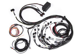 Haltech Elite 2500 Terminated Harness w/EV1 Injector Connectors