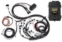 Load image into Gallery viewer, Haltech Elite 2500 Terminated Harness ECU Kit w/ OE Injector Connectors