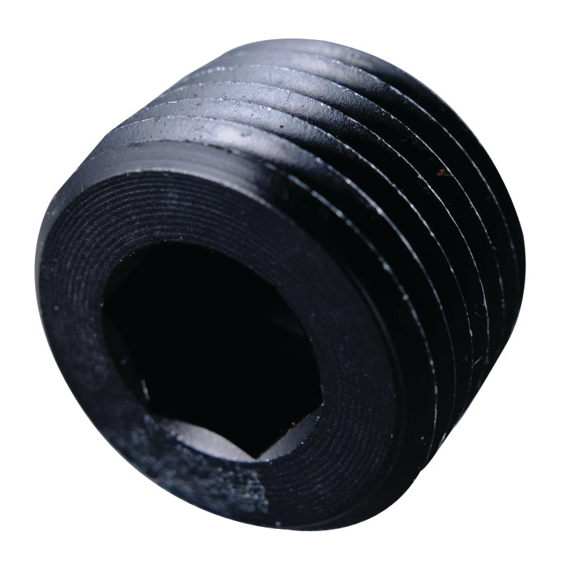 Fragola 3/4 NPT Pipe Plug- Internal Black