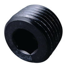 Load image into Gallery viewer, Fragola 3/4 NPT Pipe Plug- Internal Black