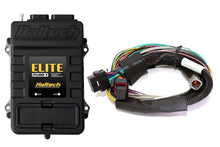 Load image into Gallery viewer, Haltech Elite 2500 Basic Universal Wire-In Harness ECU Kit
