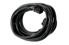 Load image into Gallery viewer, Haltech CAN Cable 8 Pin Black Tyco to 8 Pin Black Tyco 1200mm (48in)