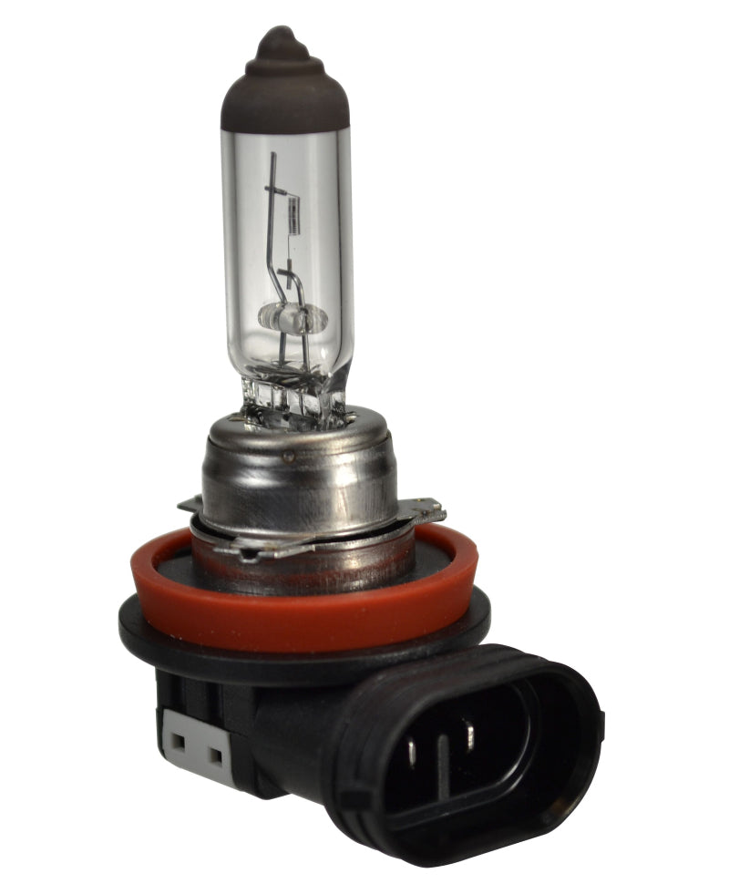 Hella H16 Halogen Bulb