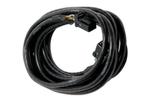 Load image into Gallery viewer, Haltech CAN Cable 8 Pin Black Tyco to 8 Pin Black Tyco 900mm (36in)